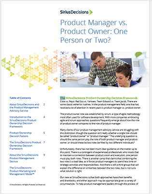 product ownership decision framework