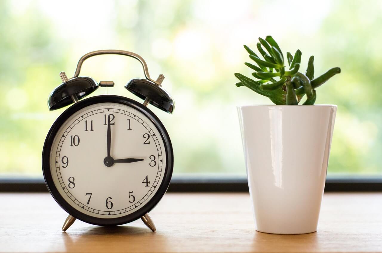 clock and potted plant