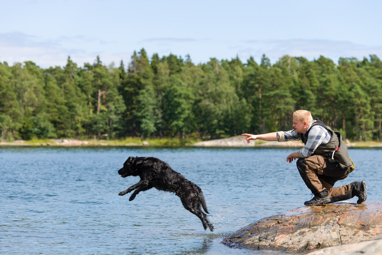 black dog jumping into water as man points