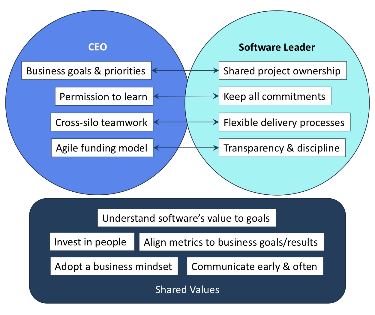 CEOs And Software