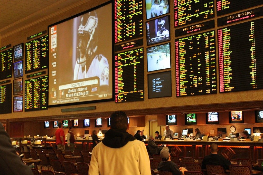 sports betting industry insight