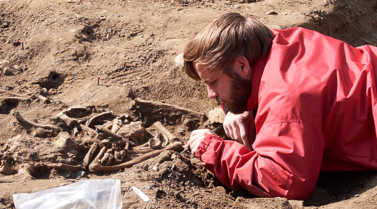 archeologist using a small brush to reveal fossilised bones 