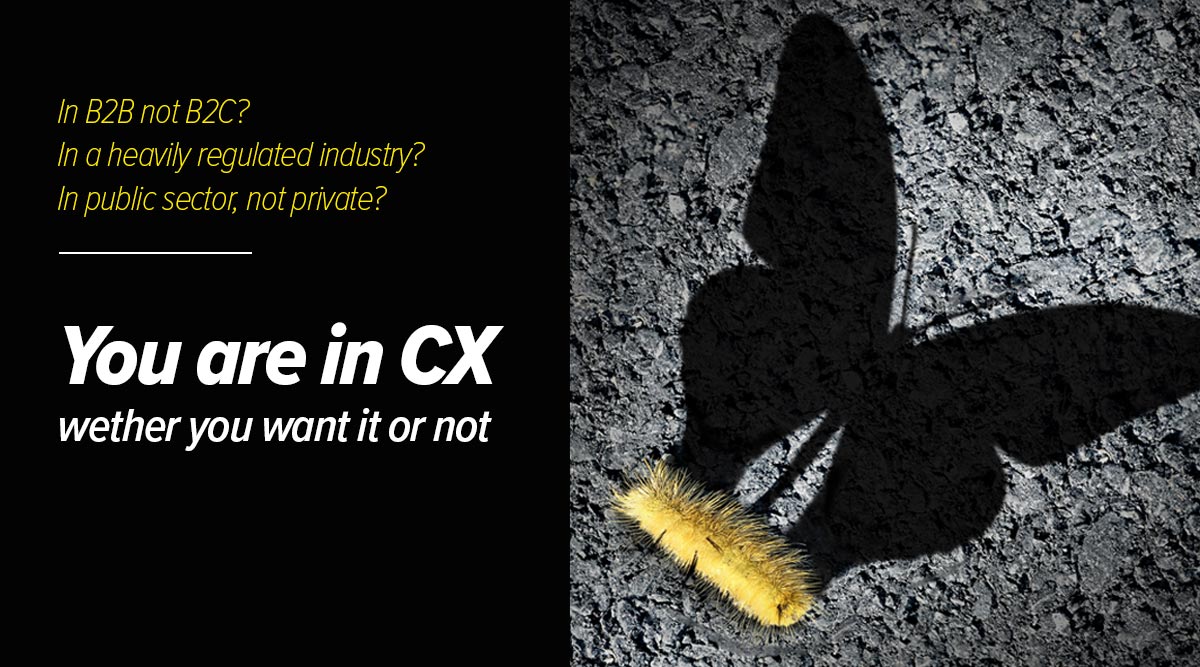 CX culture is not an option: in this illustration, a caterpillar's shadow is in a shape of a butterfly, symbolic to the fact that even companies who think they are not in CX actually already are