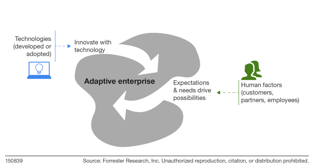 Adaptive enterprises shape-shift in response to human and technology interactions.