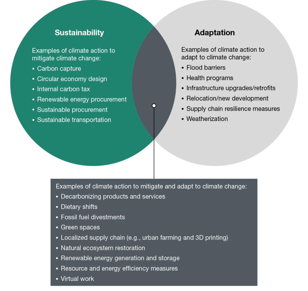 Comparing sustainability and adaptation actions