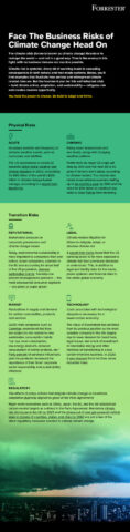 Infographic - Climate Change Business Risks And How To Adapt