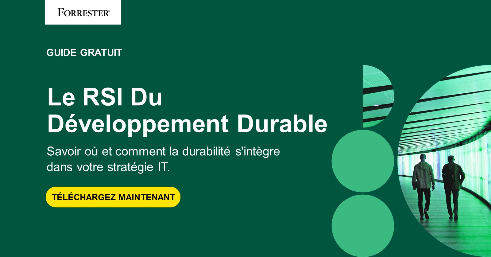 Le Rsi Du Developpement Durable Forrester France Le Rsi Du Developpement Durable Forrester France