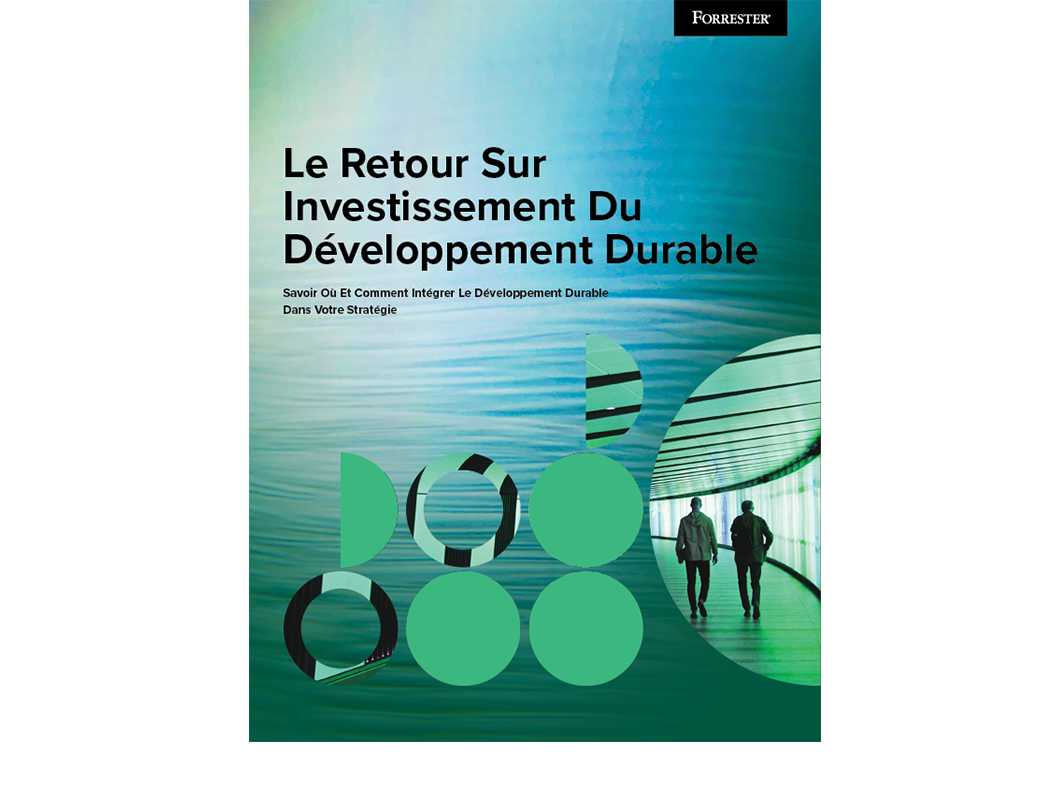 rsi-developpement-durable-fr