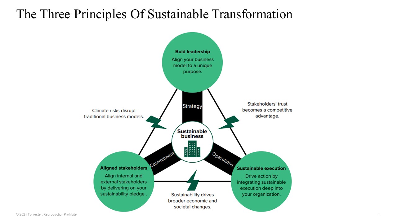 The three principles of sustainable transformation