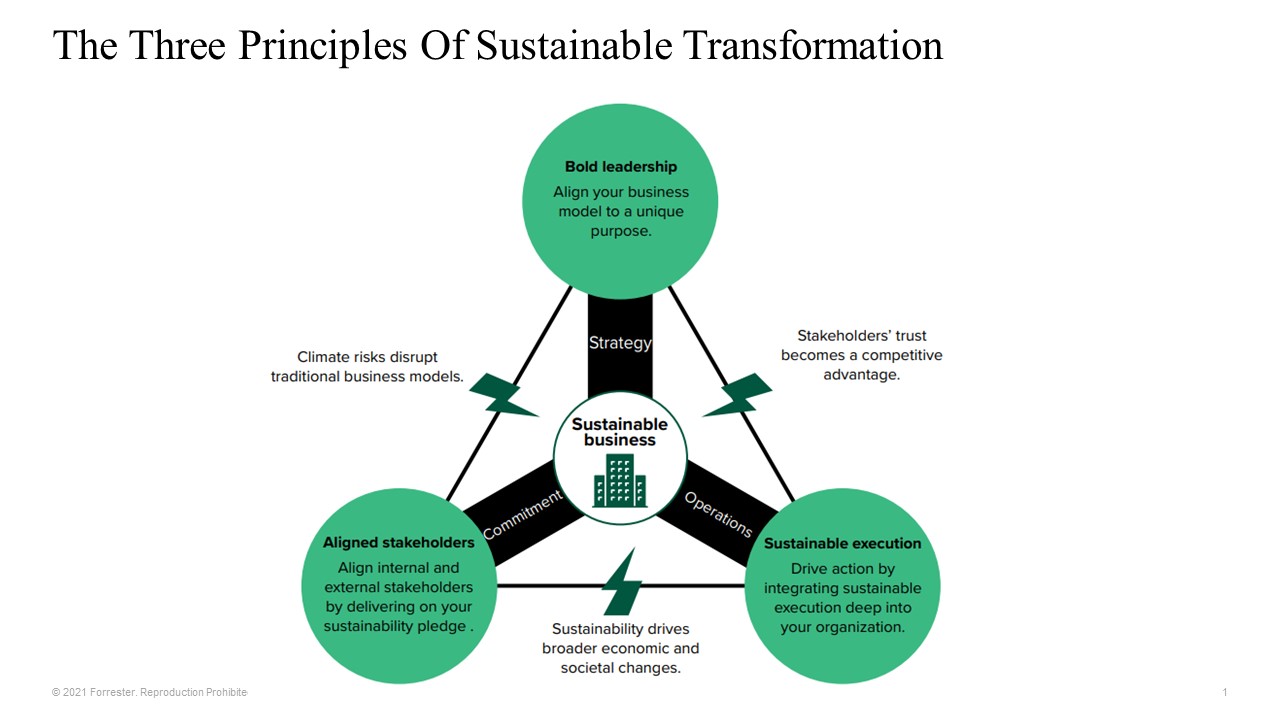 Transforming Sustainability Principles Into Sustainable Products