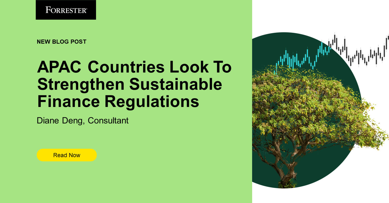 APAC Countries Look To Strengthen Sustainable Finance Regulations