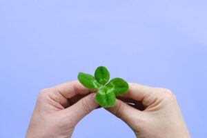Two hands holding a four leaf clover.