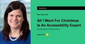 Image of the author, Gina Bhawalkar, next to the blog title "All I want for Christmas is an accessibility expert"