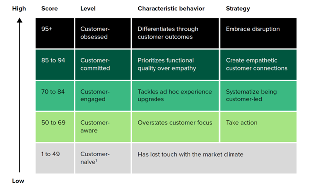 This table shows characteristic behavior for firms at all levels of customer obsessed culture. For each level, we recommend a strategy moving forward