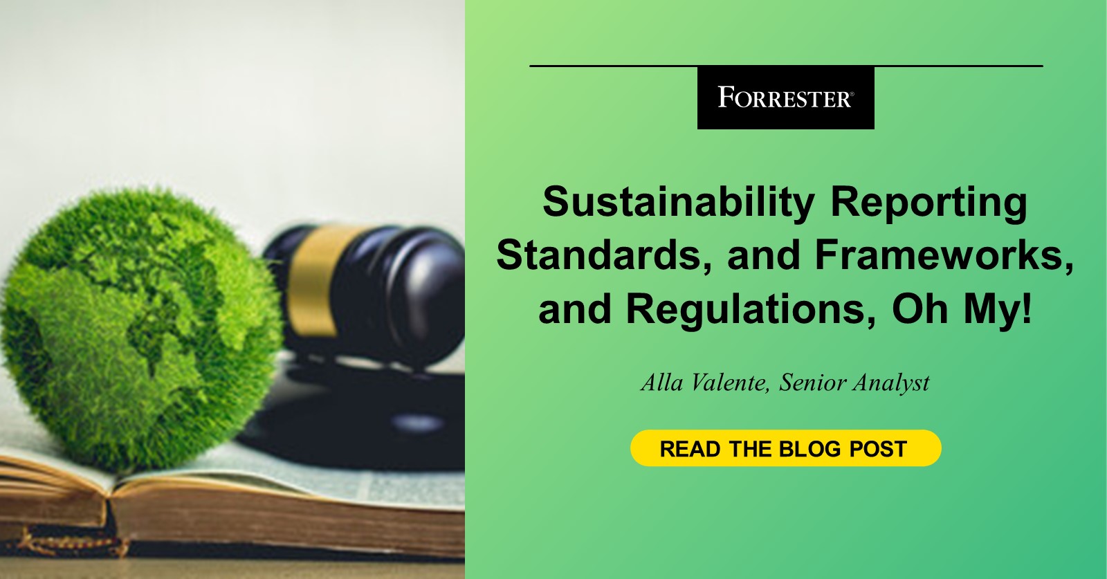 Sustainability Reporting Requirements And Frameworks