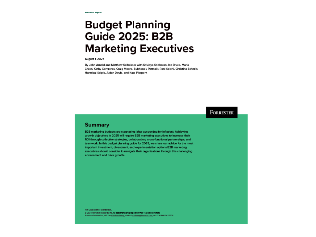 2025 Budget Planning Guide For B2B Marketing Executives
