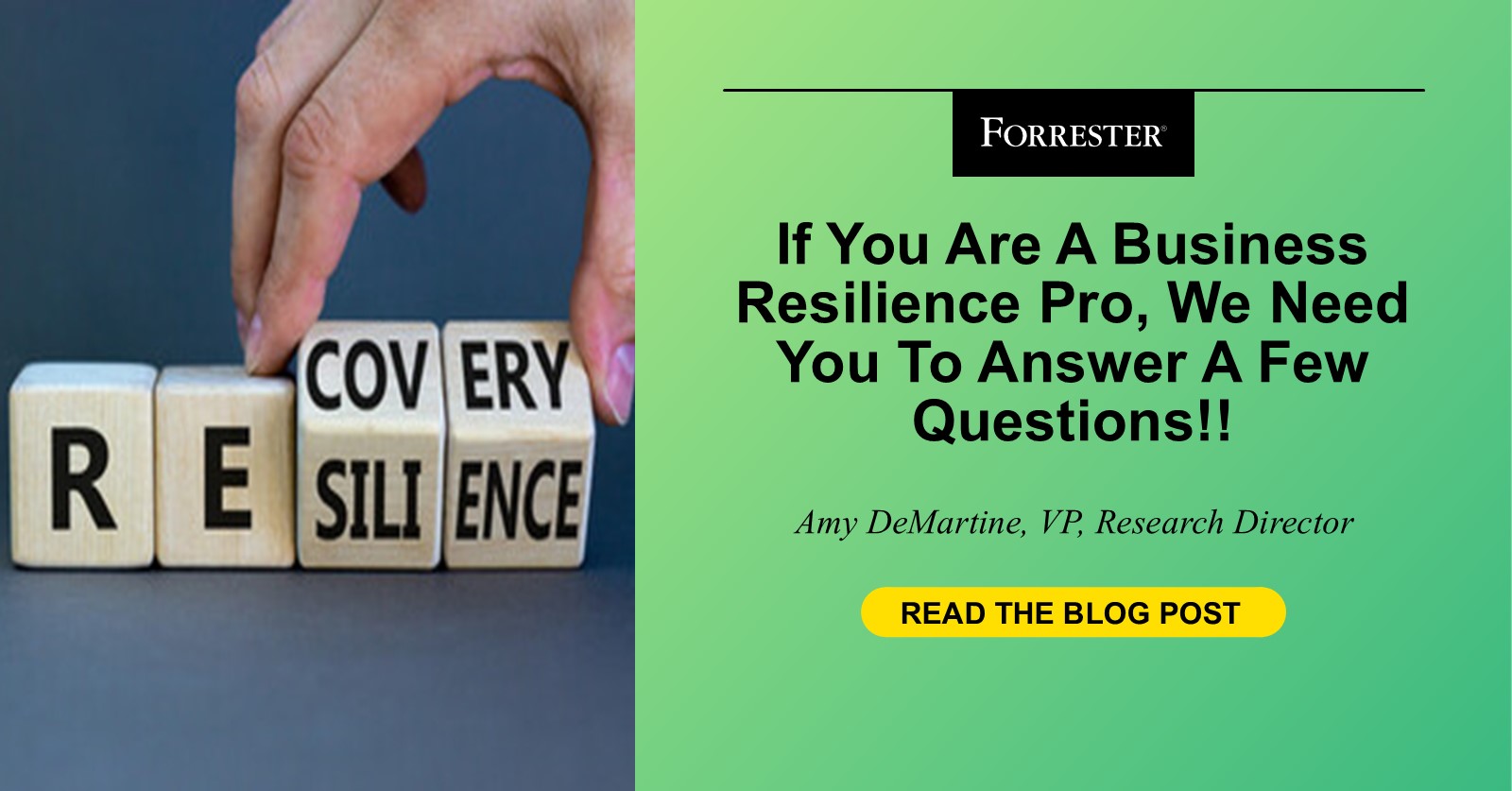 If You Are A Business Resilience Pro, We Need You To Answer A Few Questions!!