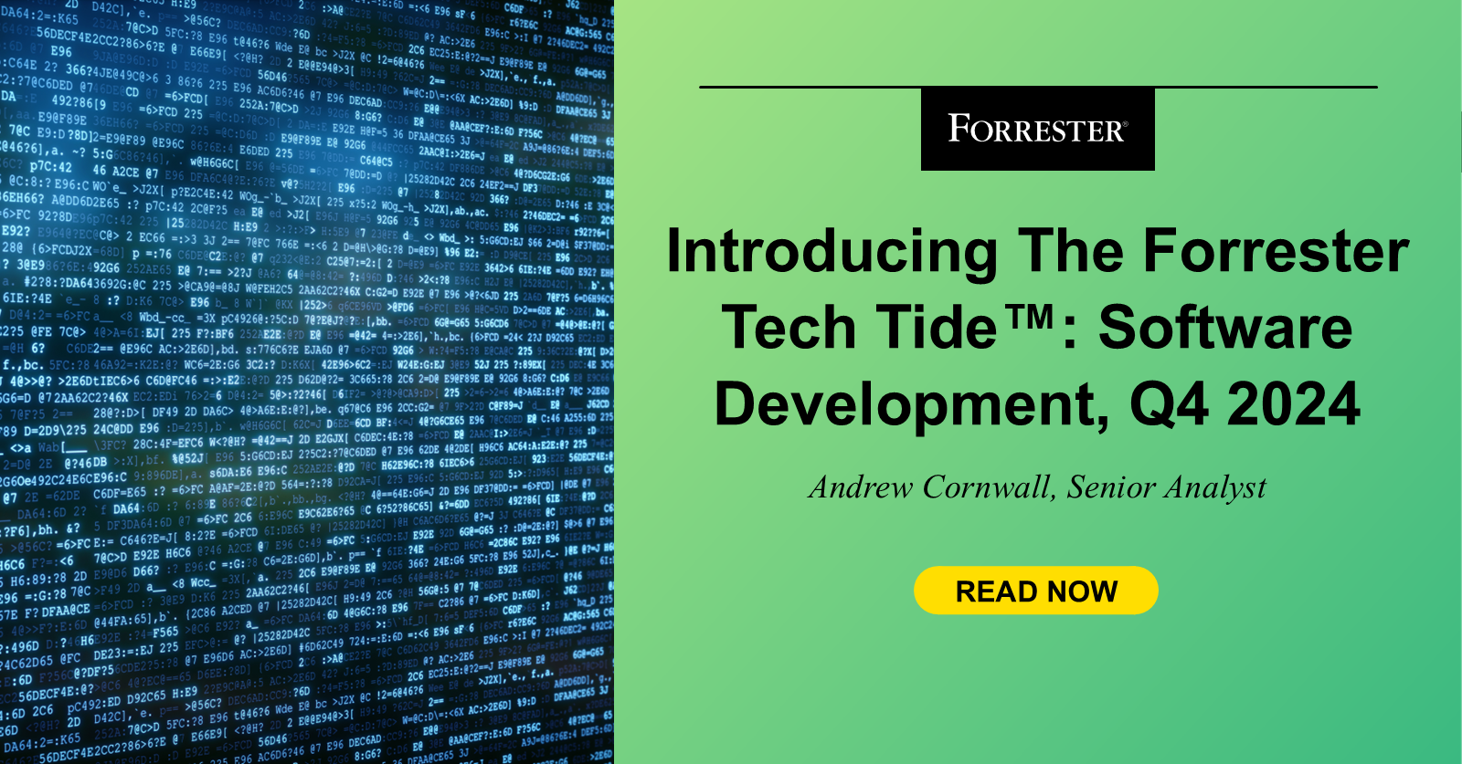 Introducing The Forrester Tech Tide™: Software program Growth, This fall 2024 