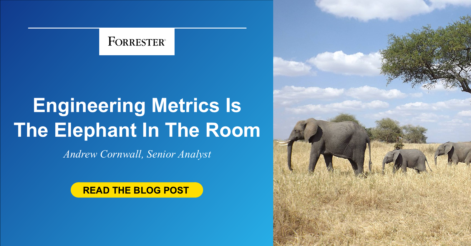 Engineering Metrics Is The Elephant In The Room