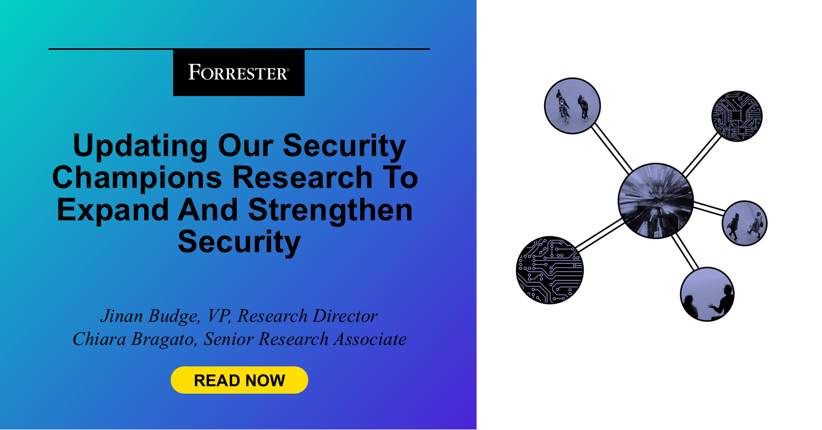 Updating Our Security Champions Research To Strengthen Security