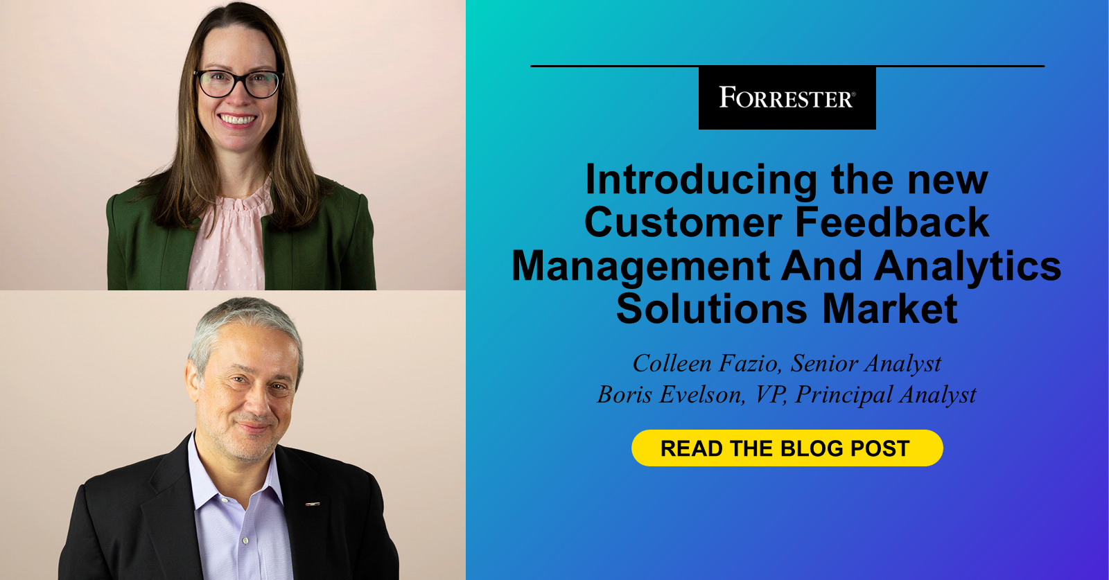 Introducing the new Customer Feedback Management And Analytics Solutions Market