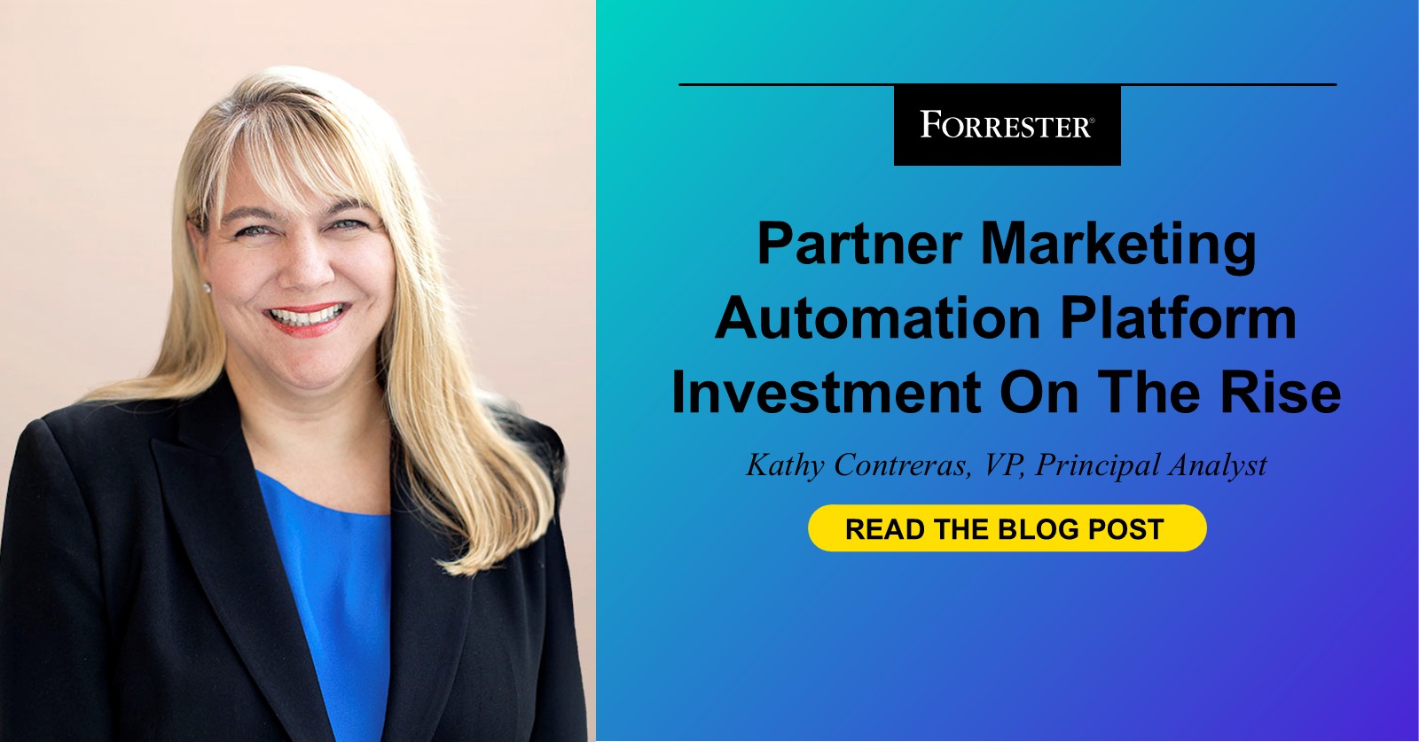 Partner Marketing Automation Platform Investment On The Rise