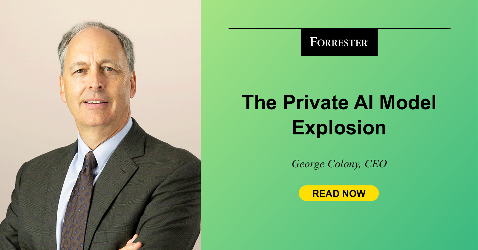 The Personal AI Mannequin Explosion