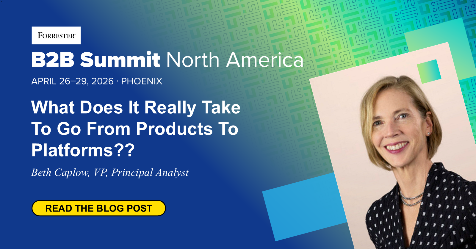 What Does It Really Take To Go From Products To Platforms?