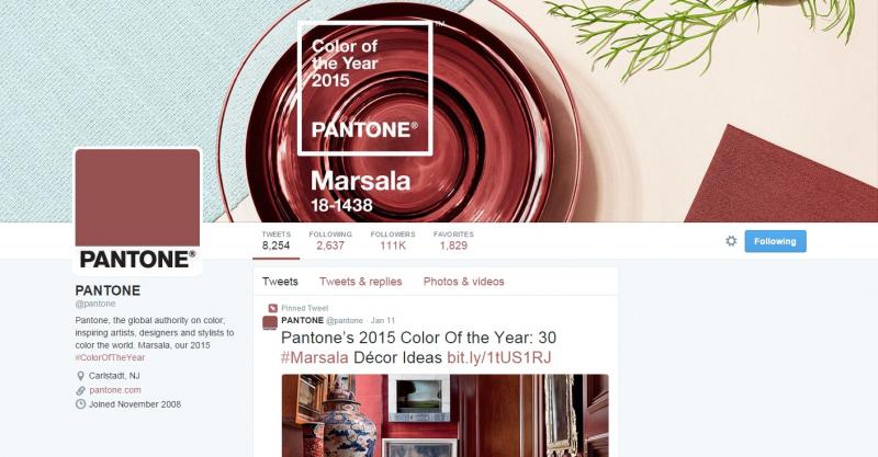 Twitter profile for Pantone highlighting 2015 color of the year Marsala